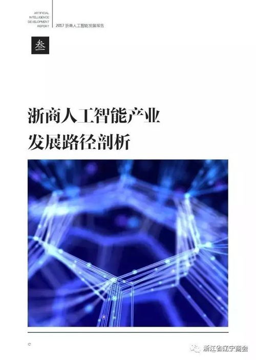 2017浙商人工智能發(fā)展報(bào)告 應(yīng)用開發(fā)的新格局與未來展望